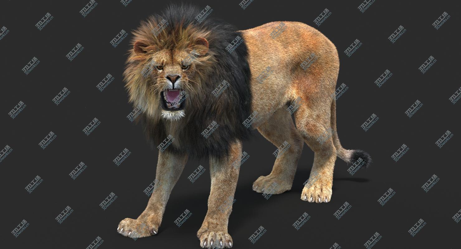 images/goods_img/2021040162/Lion 2 (Fur) (Rigged)/3.jpg